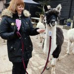 Image Gallery - Oakmere Alpacas