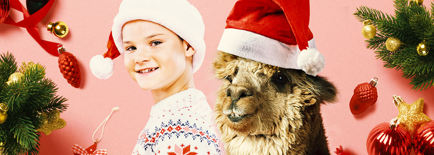 Childrens Christmas Party and Alpaca Walk